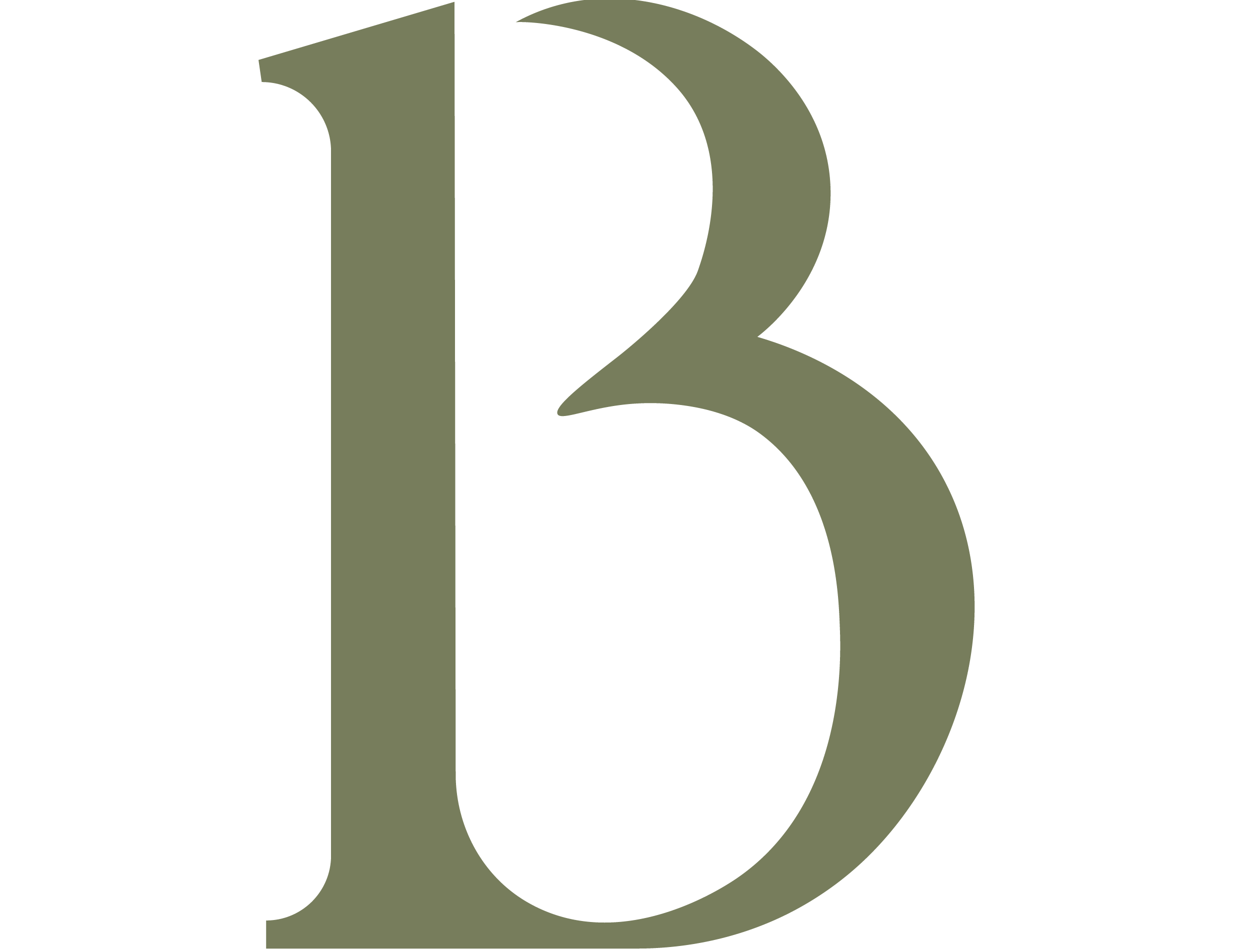 Binterior logo